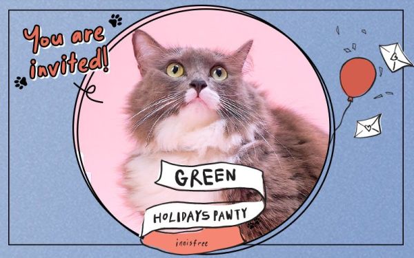 Green Holiday Pawty